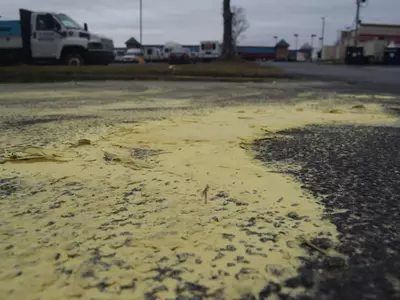 〈사진〉-앨러지 조심하세요...애틀랜타 꽃가루 극성