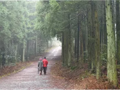 초록 숲이 푸근하게 감싸안은 듯 세상사의 번잡함을 잠시 잊다