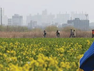 꽃 피면 찾아오는 불청객 에취~ 콧물 줄줄~“괴로워”