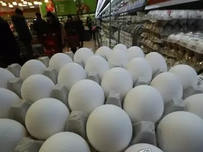 로메니 상추 이어 살모넬라 계란 파동