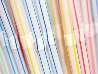 세계는 지금‘플래스틱 빨대와의 전쟁 중’