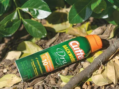 캠핑의 계절, 요긴한 캠핑용품 5