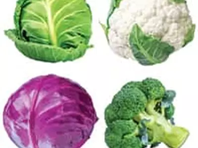 항암·항산화 작용 십자화과 채소, 심장질환 위험도 낮춰