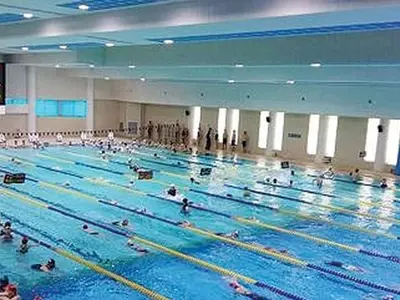 퇴행성관절염 완화·다이어트 수영 만큼 좋은 운동 없다