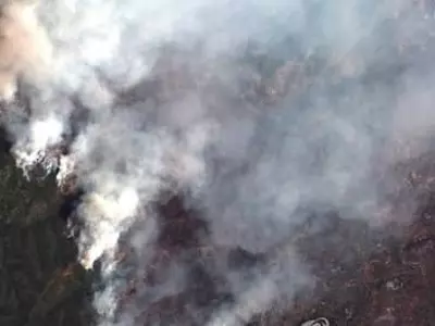 콜로라도 대형산불…여의도 면적 30배 피해