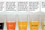 소변이 붉은색이면 방광염·콜라색은 사구체신염 의심을