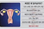 이유없이 눈물… 밤새 뒤척… 남녀 모두 피할 수 없는 ‘갱년기’