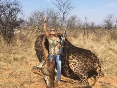 희귀 기린 죽이고 “평생 소원 이뤘다”