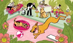 털 염색 . 유기농 요리부터 성형수술까지