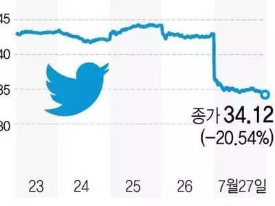 '사용자 감소' 미 증시 소셜미디어 충격