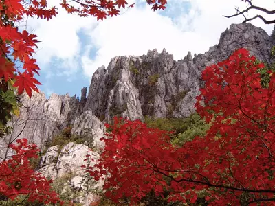 산도 물도 마음도 붉게 물들인‘단풍’그리고‘다낭’