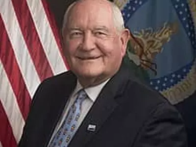 소니 퍼듀, 조지아대학시스템 의장직 물망