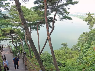 탄금대 굽이도는 남한강따라 가야금 선율 흐르네