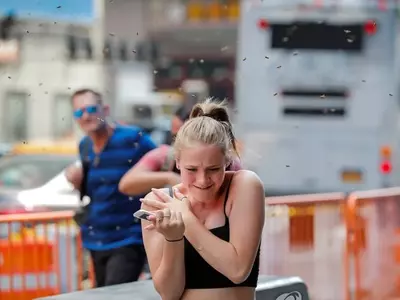 벌떼, 맨하탄 타임스케어 습격