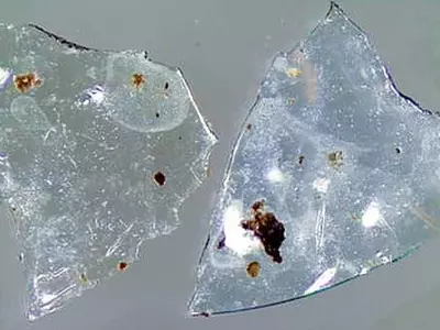 무심코 버린 콘택트렌즈, 우리 입으로 돌아온다