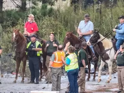 하이웨이에 때 아닌 카우보이 등장