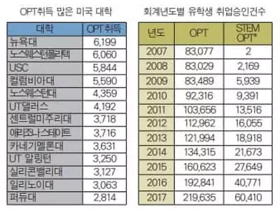 STEM 유학생 OPT 취업, 30배 폭증