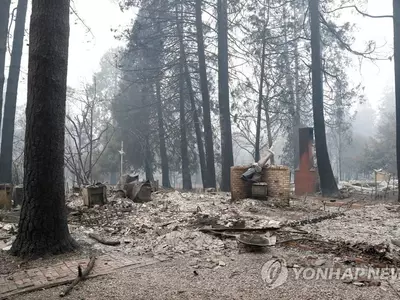서울시 만큼 태운 북가주 산불...사망자 48명