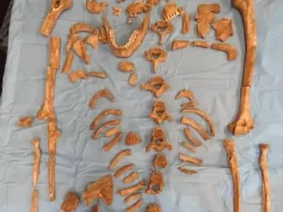 집 마당서 1천년전 원주민 유골