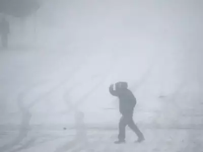 중서부 눈폭풍… 항공 1,200편 운항 중단