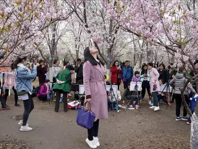코로만 숨 쉬면 기억력 개선에 도움