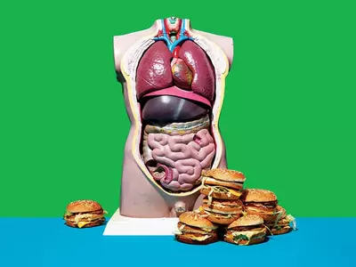 우리는 왜 아직도 뚱뚱한가?