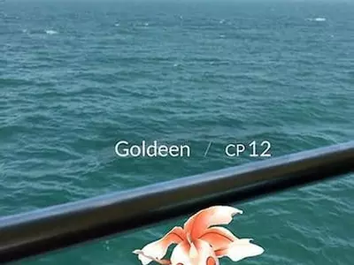 '포켓몬 고' 사유지 침해 소송 일단락