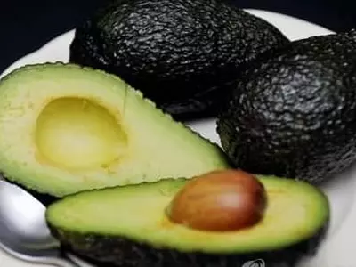 '아보카도' 식중독균 감염 경고