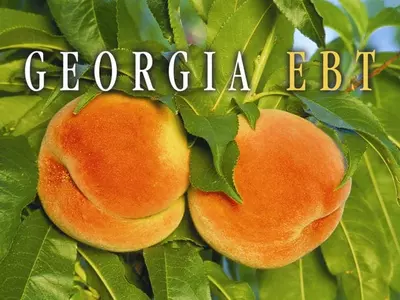 조지아 푸드스탬프 퇴출 크게 늘었다