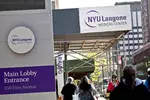 수업료 공짜 NYU 의대 지원자 47% 폭증