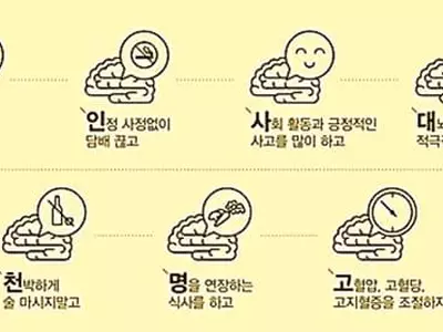 치매 예방하려면 ‘333 운동’ 실천해야