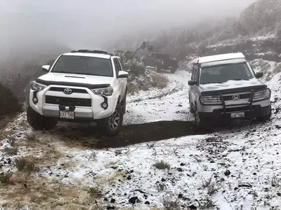 열대기후 하와이에 '눈'