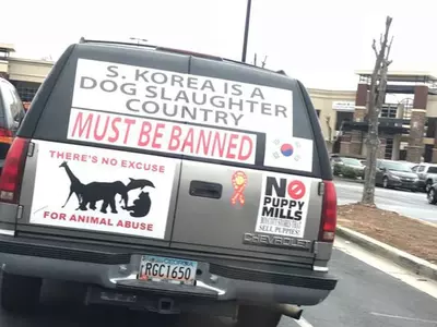 "한국은 개 학살 국가" 한인마트 주차장에 배너 부착 차량