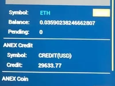 '계' 이어  '가상화폐' 사기 파동