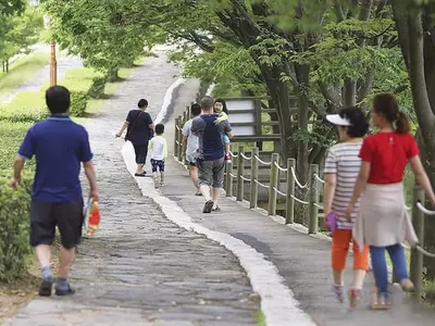 매일 30분 걸으면 혈압·혈당‘뚝’