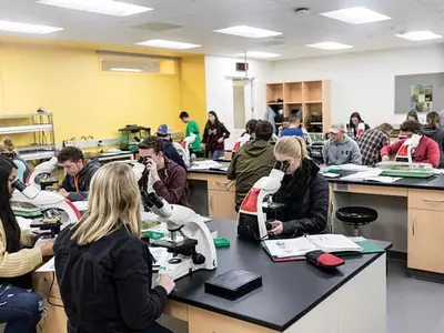 AP과목 B학점이 표준과목 A보다 좋을까?