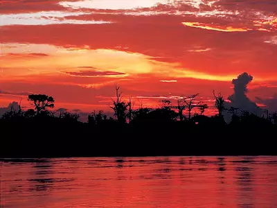 대자연 앞에 먹먹한 시간… 아마존 여행