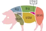 핑크빛 돼지 안심‘꿀맛’… 꿀꿀한 선입견 버리세요