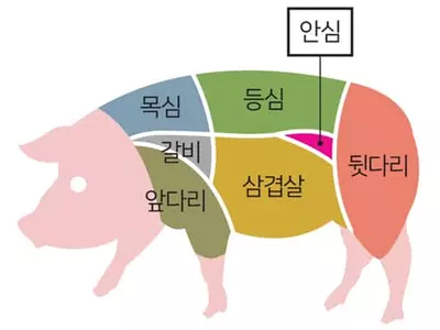 핑크빛 돼지 안심‘꿀맛’… 꿀꿀한 선입견 버리세요