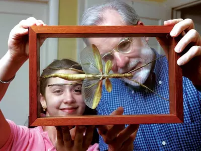 성공적 자녀 교육, 아빠 역할에 달려있다