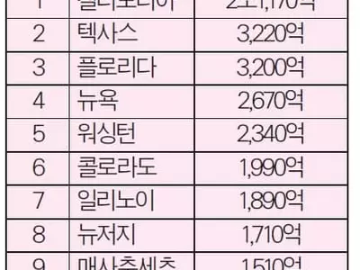 조지아 주택소유주 에퀴티 전국 10위