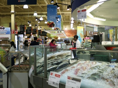 〈주말 마트 정보〉