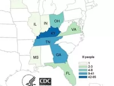 조지아 등 전국 쇠고기 분쇄육 주의보
