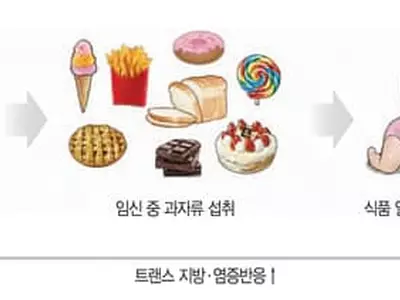 임신 중 과자류 많이 먹으면 아기‘식품 알레르기’1.5배 높아