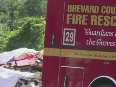 20대 여성, 악어에 공격 당해 중상