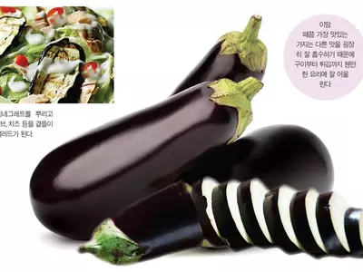 맛 없는 가지? 수분과 공기만 잡으면‘가지가지’변신해요