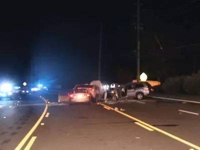 역주행 차량때문에... 아시안 아동 2명 사망