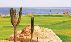 자유와 여유를 찾아 떠나는 낭만 기행