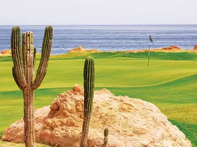 자유와 여유를 찾아 떠나는 낭만 기행