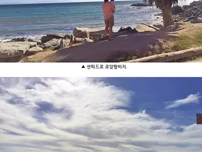 눈앞에 펼쳐진 태평양… 향수에 젖은 발걸음